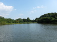 三渓園の大池