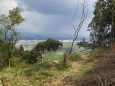 里山を辿る山道から