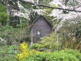 春の山小屋