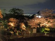 京の夜景
