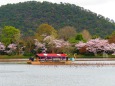 大覚寺大沢の池の茶席舟
