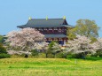 奈良平城京大極殿の春