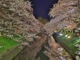 松川(富山)の夜は更けて