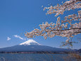 河口湖畔から春の富士山