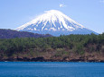 西湖 根場浜から春の富士山