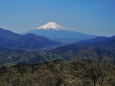 高川山からの富士山