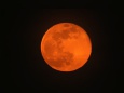 昨日の赤い月