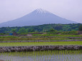 富士宮 田園風景と富士山