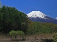 忍野の富士山