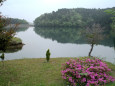 関ヶ原・池寺池・幻想