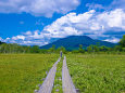 尾瀬 夏景色