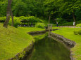 深緑の小石川後楽園