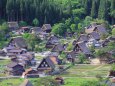 白川郷の田植え