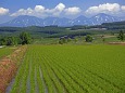 初夏の十勝岳連峰