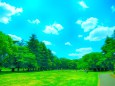 初夏の野川公園