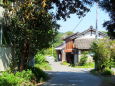 静かな初夏の山里