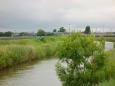 梅雨空と兵庫川