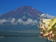 富士を彩るヤマユリ