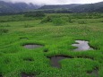 立山・弥陀ヶ原