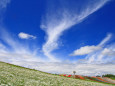 美瑛の夏17～丘と大空と雲 