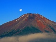 富士山頂に落ちる満月