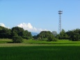 晩夏の昼下がり