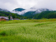 南会津 初秋の田園風景