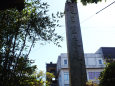 伏見宿の領界碑