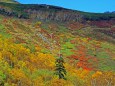 日本一早い紅葉・銀泉台