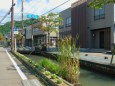 東郷の水路と町並み#3