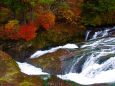 竜頭の滝 秋景色