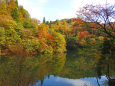 紅葉の季節を待ちわびて