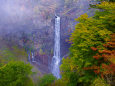 秋色の華厳の滝