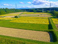 那須高原の田園風景