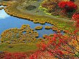秋の弓が池