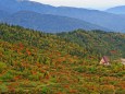 秋の弥陀ヶ原(立山)