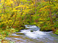 秋色の奥入瀬渓流