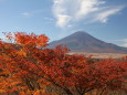 紅葉&富士山