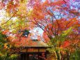 小倉山常寂光寺茅葺の仁王門南面