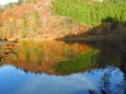 池に映る紅葉の山