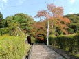 御霊神社・参道の石段