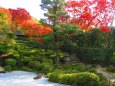 京都の秋・金福寺芭蕉庵
