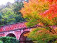 秋の南禅寺水路閣