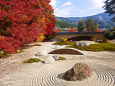 実相院 枯山水と紅葉