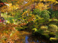 京の秋・大原 三千院の紅葉