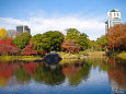 錦秋の小石川後楽園