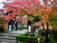 湖東三山金剛輪寺の紅葉(1)