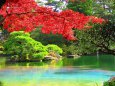 京都御所御池庭の水の七色風景
