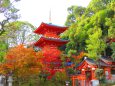 紅葉を圧する華麗な須磨寺三重塔