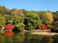 小石川植物園